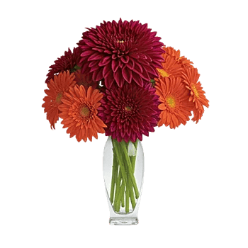 Crimson Blossom Harmony