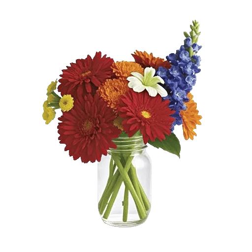 Petal Radiance Bliss