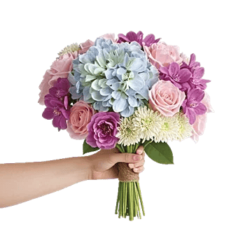 Serene Petal Harmony