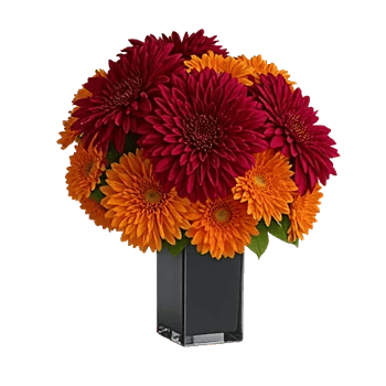 Crimson Blossom Harmony
