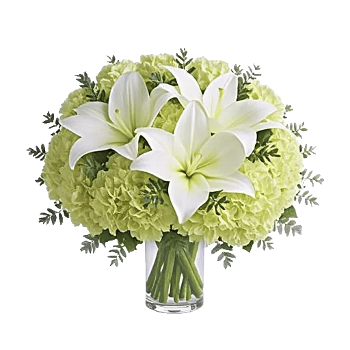 Ivory Blossom Radiance