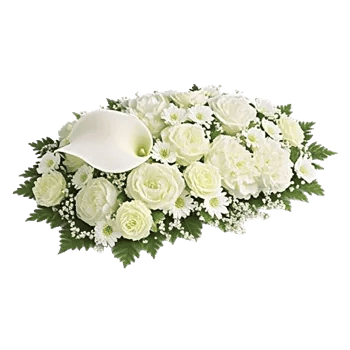 Elegant Calla Lilies