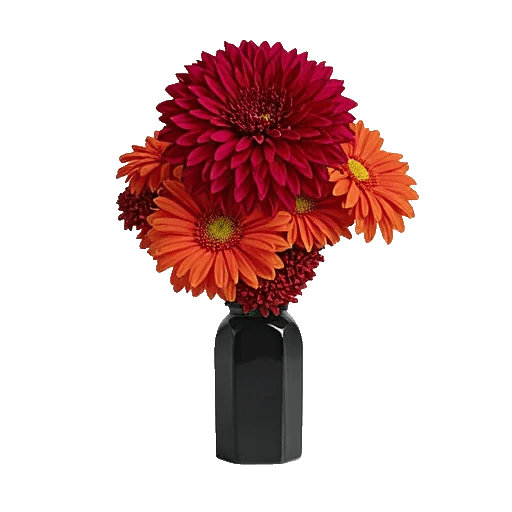 Crimson Blossom Harmony