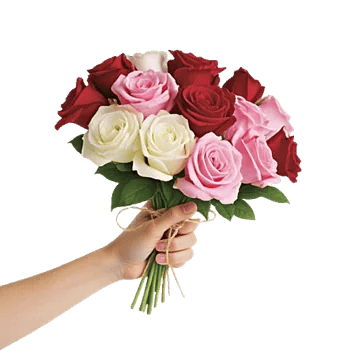 Crimson Rose Elegance
