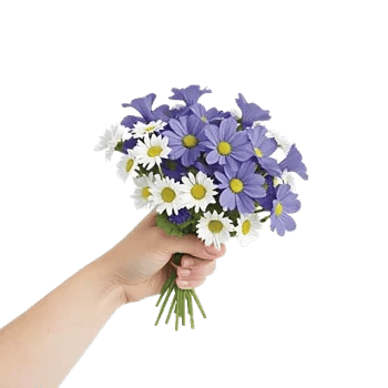 Daisy Meadow Spread