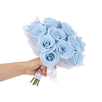 Elegant Blue Roses