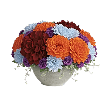 Petal Radiance Bliss