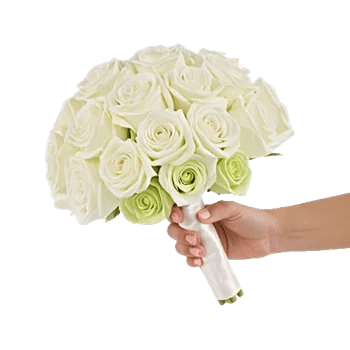 Ivory Garden Grace