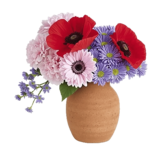 Petal Radiance Bliss