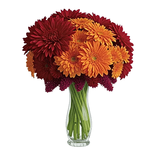 Crimson Blossom Harmony