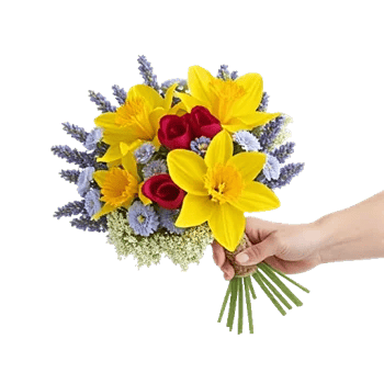 Blossom Harmony Display