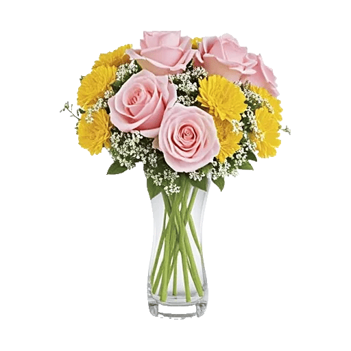 Pink Pastel Roses