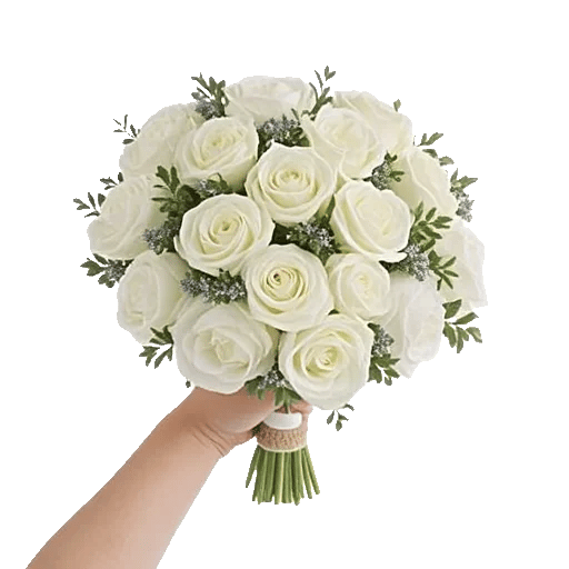 Ivory Blossom Radiance