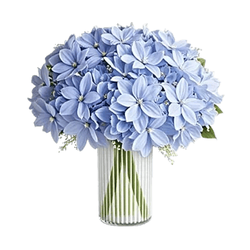 Sapphire Bloom Whisper