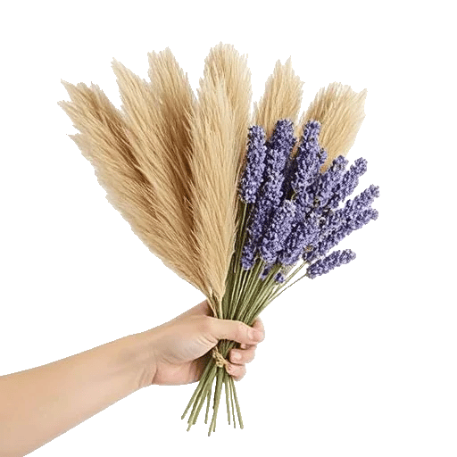 Lavender Bloom Grace