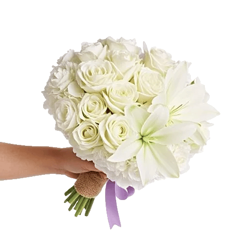 Serene Petal Harmony