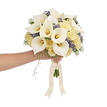 Delicate Petal Cascade