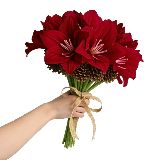 Crimson Rose Elegance