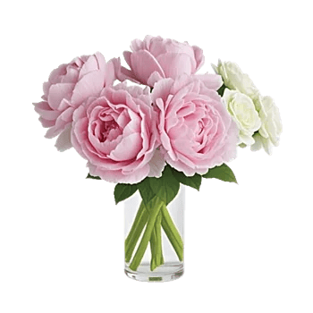 Petal Radiance Bliss