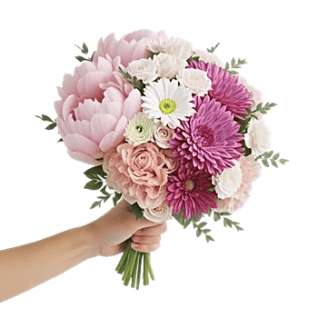 Peony Petal Harmony