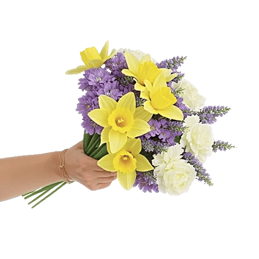 Blossom Harmony Display