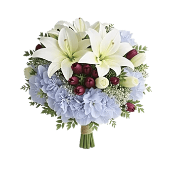 Ivory Blossom Radiance