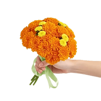 Vibrant Orange Delight