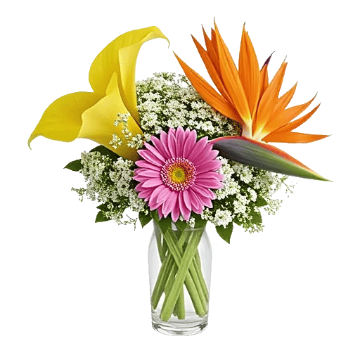 Elegant Calla Lilies