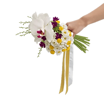 Orchid Bloom Cascade