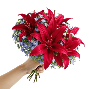 Crimson Lily Glow
