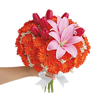 Petal Harmony Bliss