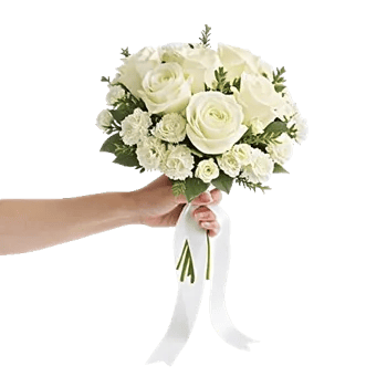 Ivory Garden Grace