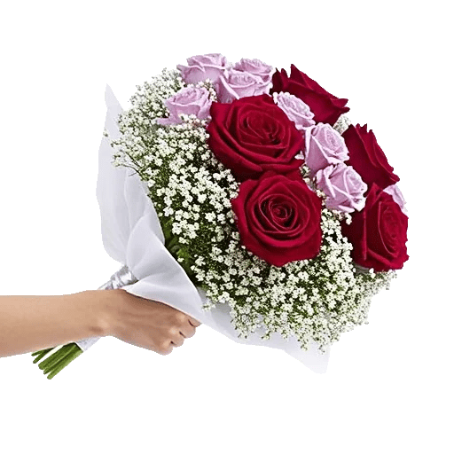 Crimson Rose Elegance