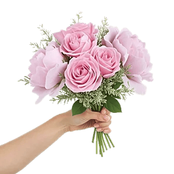 Pastel Pink Roses