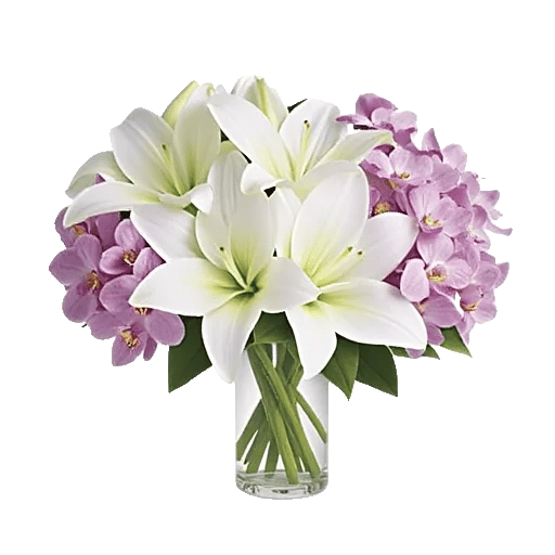 Orchid Bloom Cascade