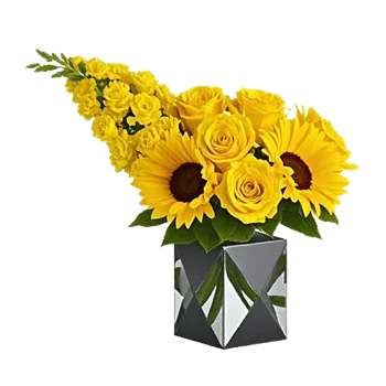 Radiant Bloom Cascade