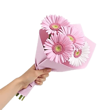 Petal Harmony Bliss