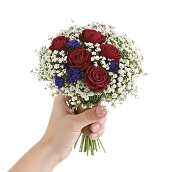 Elegant Calla Lilies