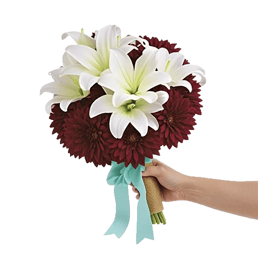 Elegant Calla Lilies