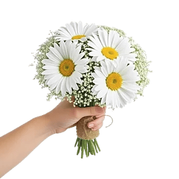 Daisy Meadow Spread