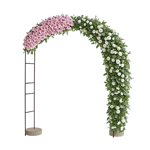 Ivory Garden Grace