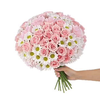 Pastel Pink Roses