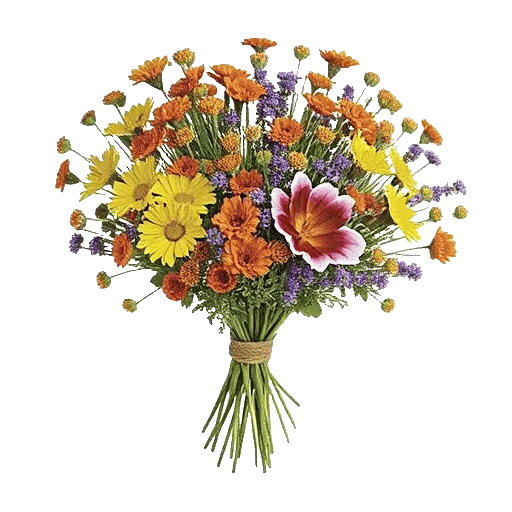Fresh Meadow Blooms