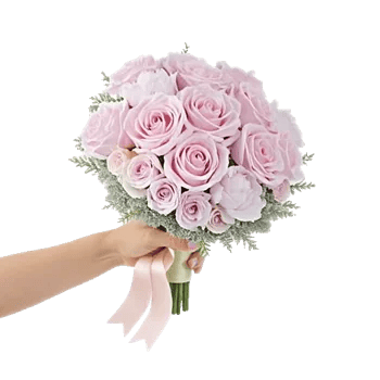 Pastel Pink Roses
