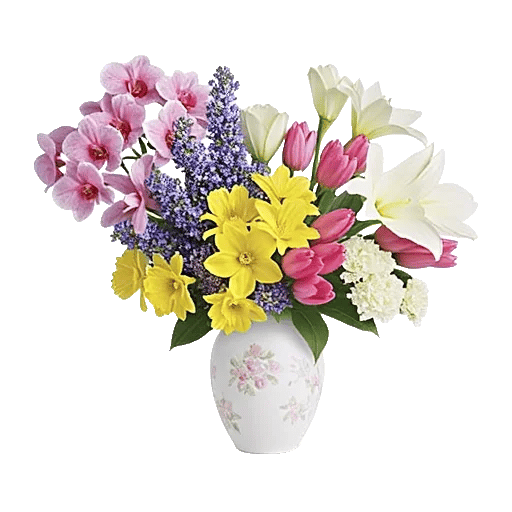 Orchid Bloom Cascade