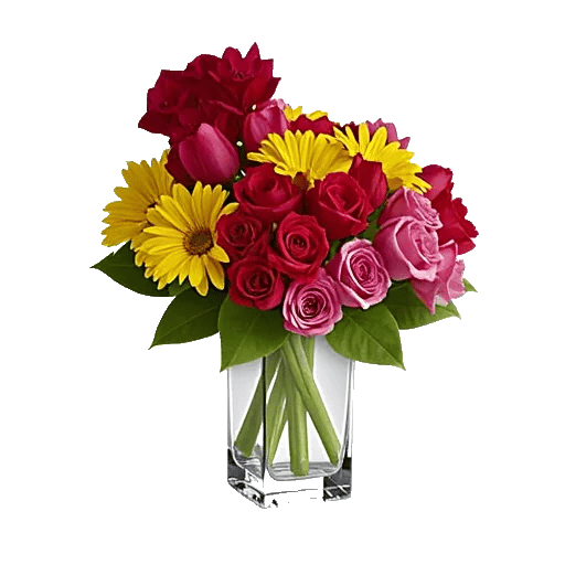 Petal Radiance Bliss