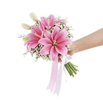 Delicate Petal Cascade