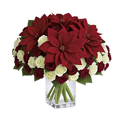 Petal Radiance Bliss