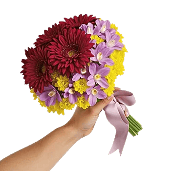 Crimson Blossom Harmony