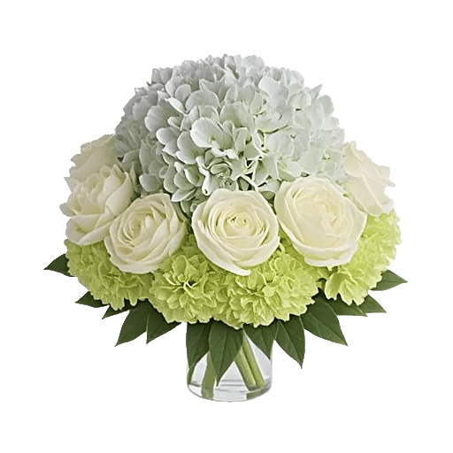 Sapphire Bloom Whisper